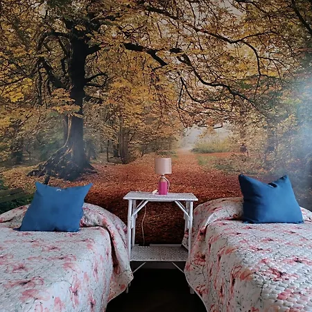 Giaveno, Margherite A Pochi Passi Dal Centro, Wifi Appartamento Giaveno