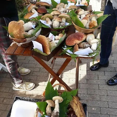 Giaveno, Margherite A Pochi Passi Dal Centro, Wifi Appartamento *